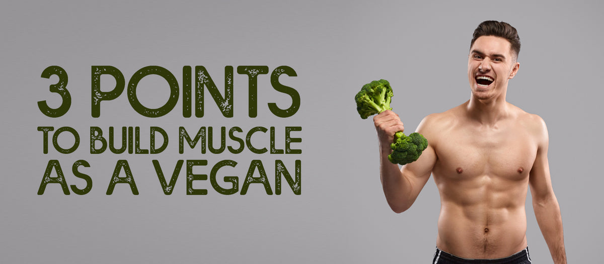 3 Points To Build Muscle As A Vegan