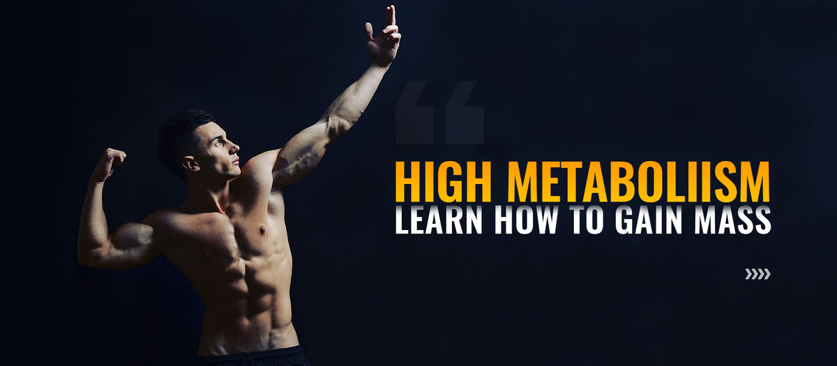 High Metabolism? Learn How To Gain Mass