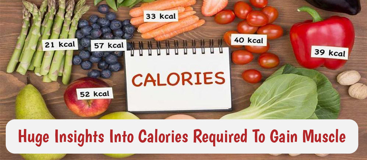 Huge Insights Into Calories Required To Gain Muscle