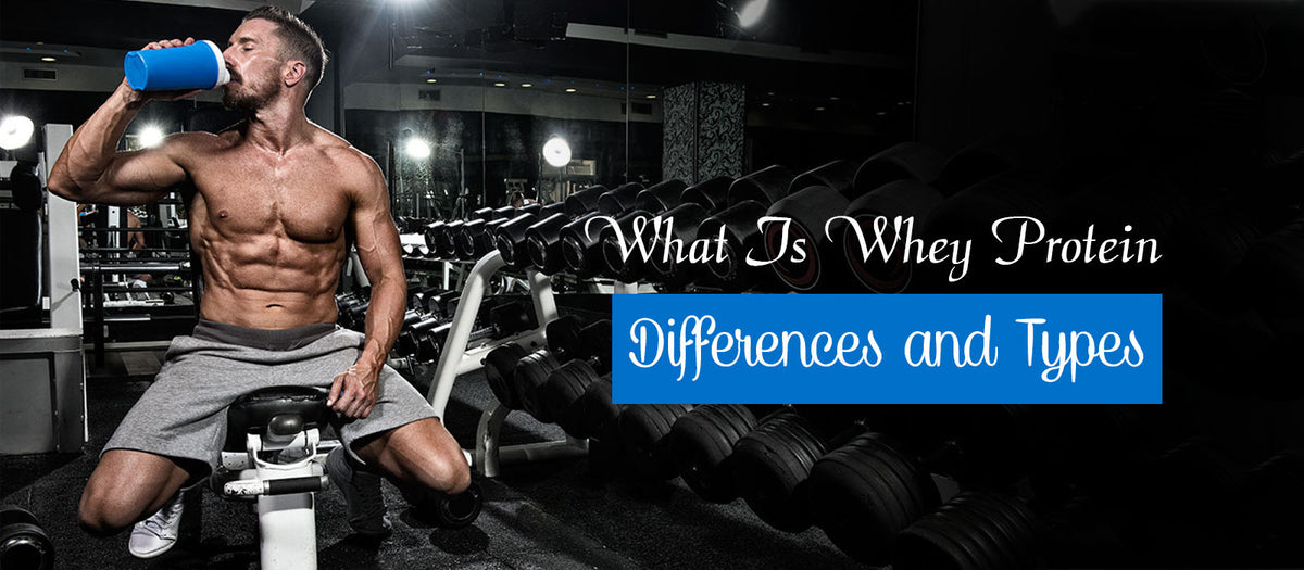 What Is Whey Protein - Differences and Types